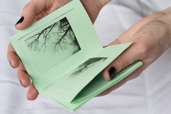 Tangled 1 - hands holding an open tiny book with green pages and black and white photographs of trees printed on it